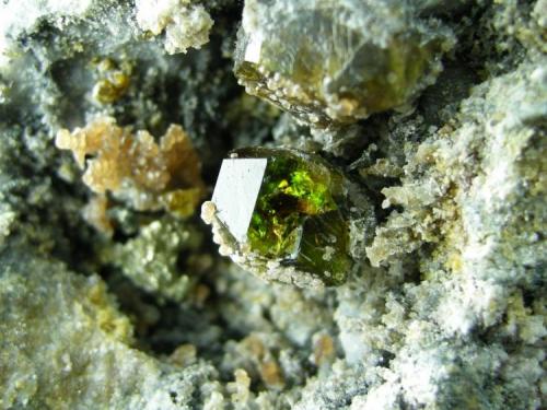 Clinohumita + Espinela + Granate
Sierra de Mijas - Málaga - Andalucía - España
Detalle - Cristales de Granate de entre 1 y 1.3 cm (Autor: Diego Navarro)