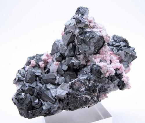Alabandite, rhodochrosite, quartz
Uchucchacua Mine, Oyon, Lima, Peru
84 mm x 58 mm x 45 mm. Major crystal: 13 mm tall, 9 mm on edge (Author: Carles Millan)