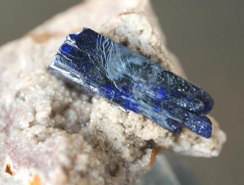 Azurita (cristal de 1,2 cms)
Kerrouchen
Khénifra
Meknès-Tafilalet
Marruecos
Medidas: 4,5 x 3,5 x 1,7 cms (Autor: Joan Martinez Bruguera)