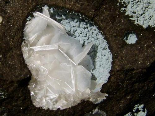 Levyne
Moonen Bay, Isle of Skye, Scotland, UK
Crystals to 7 mm

Levyne crystals to 7mm in a gas cavity in basalt 16mm across. The thin blue layer lining the cavity is a clay - like mineral. The broken edges of some of the levyne crystals show the white fibrous epitaxial overgrowths of (erionite/offretite). Self-collected in 1994 from Moonen Bay, Isle of Skye, Scotland. (Author: Mike Wood)