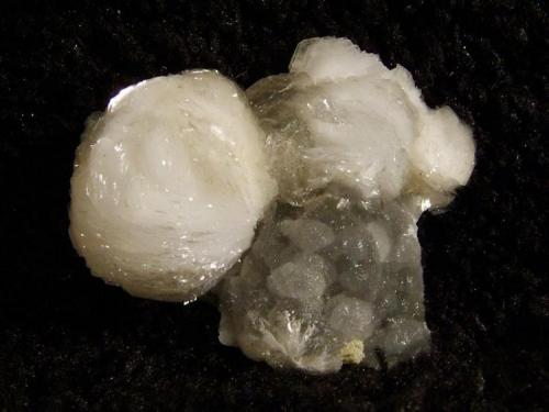 Gyrolite + Apophyllite on Thomsonite
Moonen Bay, Isle of Skye, Scotland, UK 
The larger gyrolite ball is 12 mm across.

Nice little thumbnail specimen; self-collected from Moonen Bay, Isle of Skye, in 1996. (Author: Mike Wood)