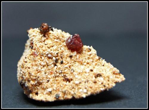 ESPINELA ROJA
Sierra de Mijas - Mijas - Málaga
4.5cm x 3.5cm (Autor: Mijeño)