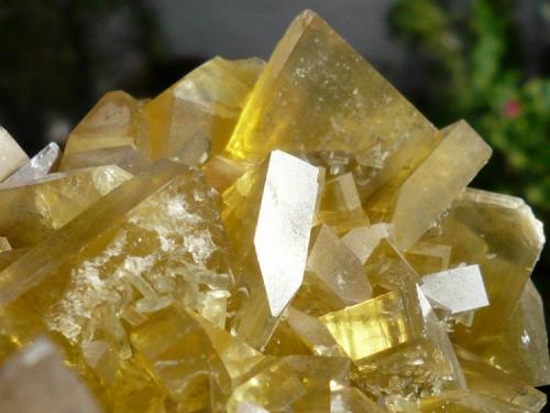 Gold and Quartz
Wright Hardgrave Mine, Kirkland Lake, Ontario, Canada
6x6cm (Author: derrick)