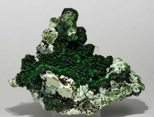 Malaquita cristalizada con Crisocola
Mina Rokana, Kitwe, Zambia
Tamaño de la pieza: 11.2 × 9 × 2.6 cm.
El cristal más grande mide: 0.2 × 0.2 cm.
Foto: Ejemplares de Referencia (Autor: Jordi Fabre)