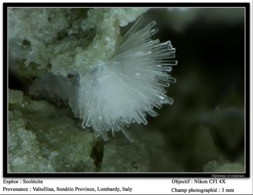 Scolecite
Valtellina, Sondrio, Lombardy, Italia
fov 3 mm (Author: ploum)