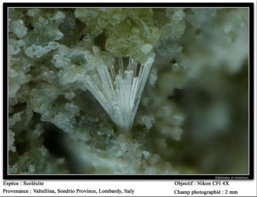 Scolecite
Valtellina, Sondrio, Lombardy, Italia
fov 2 mm (Author: ploum)