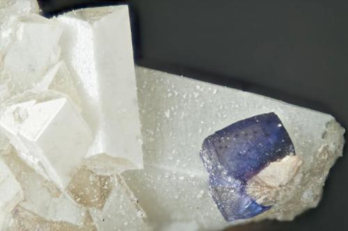 Datolite, Fluorite, Tadzhikite-(Ce)
Poudrette quarry (Demix quarry; Uni-Mix quarry; Desourdy quarry; Carrière Mont Saint-Hilaire), Mont Saint-Hilaire, Rouville RCM, Montérégie, Québec, Canada
FOV=4mm
Datolite is the white crystals and the tadzhikite is the spray of crystals on the fluorite. (Author: Doug)