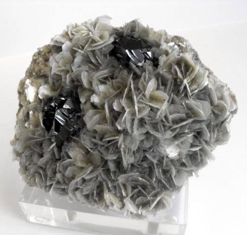 Cassiterite
Mt Xuebaoding, Pingwu County, Mianyang Prefecture, Sichuan Province, China.
12 x 11 x 4cm; 652 grams
The attached specimen of Cassiterite with Muscovite contains two highly lustrous and complex crystals of cassiterite approximately 3 x 2cm each. (Author: Louis Friend)