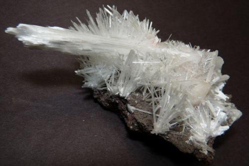 Scolecite
Poonah, Maharashtra, India
9x7x4 cm (Author: B&A)