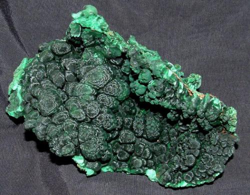 Malachite
Shaba, Democratic Republic of the Congo
12 x 6 x 1.5 cm
 (Author: Joseph D'Oliveira)