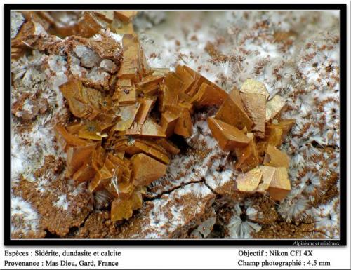 Siderite, dundasite and calcite,
Mas Dieu, Gard, France
fov  4,5 mm (Author: ploum)