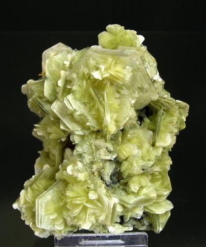 Moscovita
Mina Proberil, Galiléia, Minas Gerais, Brasil
Tamaño de la pieza: 9.4 × 8.3 × 6 cm.
El cristal más grande mide: 3.4 × 2.8 cm.
Encontrada en Junio de 2007
Foto: Minerales de Referencia (Autor: Jordi Fabre)