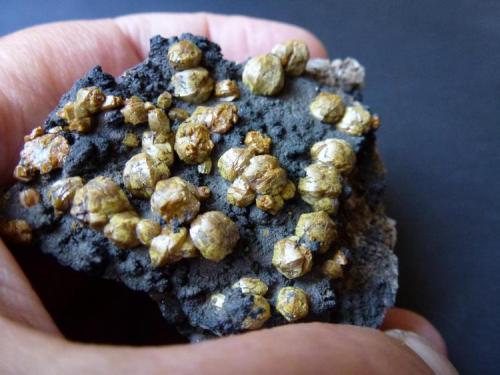 Mimetita (var. Campilita)
Dry Gill Mine, Caldbeck Fells, Cumberland, Inglaterra, Reino Unido
7 x 6 cm.

Otra vista de la misma pieza (Autor: javier ruiz martin)