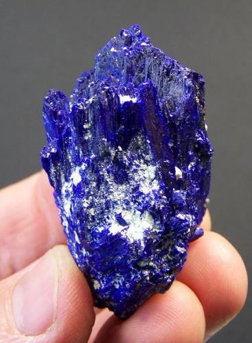 Azurite
Tsumeb, Namibia
53 x 15 x 14 mm
same as above. (Author: Pierre Joubert)