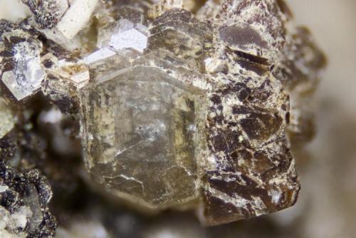 Gaidonnayire and hilarite
Poudrette quarry (Demix quarry; Uni-Mix quarry; Desourdy quarry; Carrière Mont Saint-Hilaire), Mont Saint-Hilaire, Rouville RCM, Montérégie, Québec, Canada
FOV=3mm
Clear gaidonnayite crystal surrounded by brown hilarite crystals (Author: Doug)