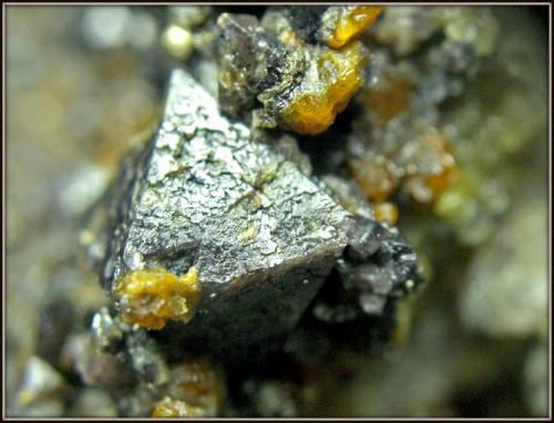 Espinela morada
Sierra de Benálmadena - Málaga - Andalucía - España
7 x 6.5 cm - cristal mayor 1 cm
detalle del cristal de Espinela (Autor: Mijeño)