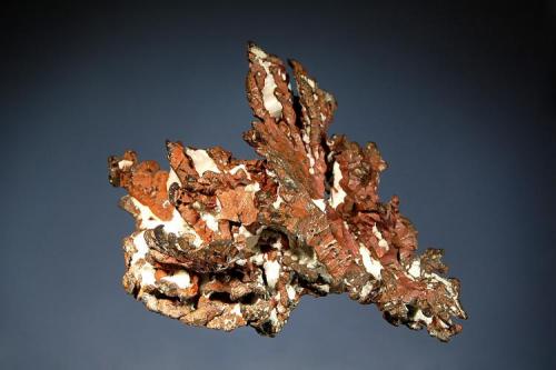 Copper
Phoenix Mine, Keweenaw Co., Michigan
6.3 x 7.5 cm (Author: crosstimber)