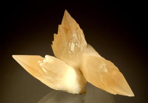 Calcite
Minerva No. 1 Mine, Cave In Rock Sub-District, Hardin Co., Illinois
7.5 x 7.5 cm. (Author: crosstimber)