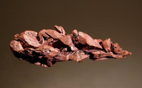 Copper
Chino Mine, East Pit, 5100 Bench, near Bayard, Grant Co., New Mexico
1.7 x 5.5 cm.
Spinel-twinned copper crystals with a nice patina. (Author: crosstimber)