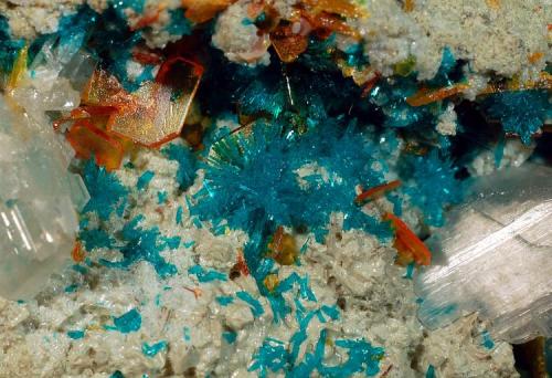 Dioptase
Mammoth-St. Anthony Mine, Tiger, Pinal County, Arizona
5.5 x 6.1 cm,  FOV = 2.0 cm.
Lustrous blue-green dioptase with colorless cerussite and tabular orange wulfenite crystals lining a cavity in a whitish gray clay matrix. (Author: crosstimber)