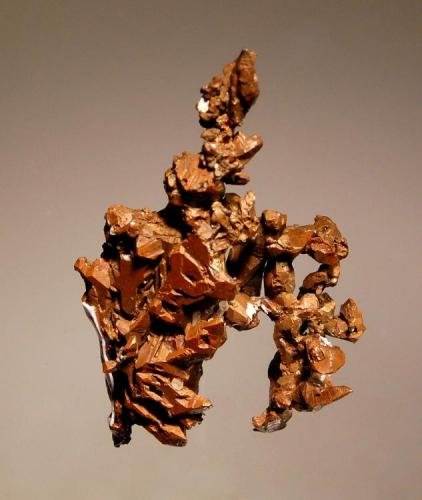 Copper
Relistian Mine, Gwinear, Cornwall, England
2.9 x 4.2 cm.
An arborescent group of well-defined crystals. (Author: crosstimber)