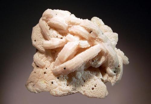 Calcite
Mogila deposit, Septemvri Mine, Madan District, Smolyan Oblast, Bulgaria
9.0 x 10.0 cm.
Unusual zoned hexagonal calcite crystals with chalcopyrite and secondary crystal development on the pinacoid faces. Mined in 1980. (Author: crosstimber)