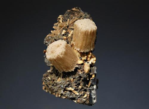 Calcite
Mogila deposit, Septemvri Mine, Madan District, Bulgaria
4.7 x5.3 c,.
These calcites have an unusual habit with tightly bunched scalenohedrons, brownish green centers and light gray terminations. (Author: crosstimber)