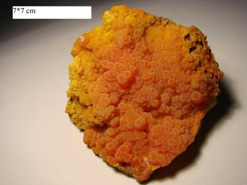 Mimetite
Chah Mileh mine, Anarak city, Esfahan province, Iran
7 x 7 cm. (Author: pirirani)