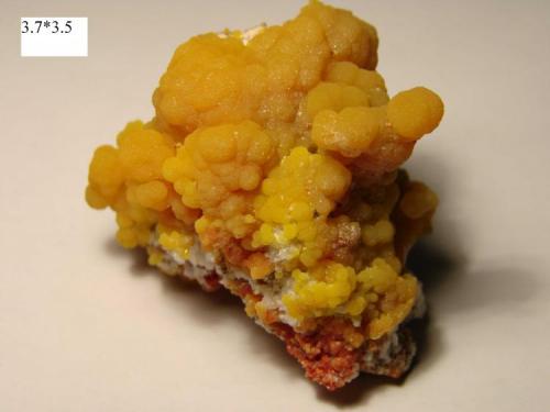 Mimetite
Chah Mileh mine, Anarak city, Esfahan province, Iran
3.7 x 3.5 cm. (Author: pirirani)