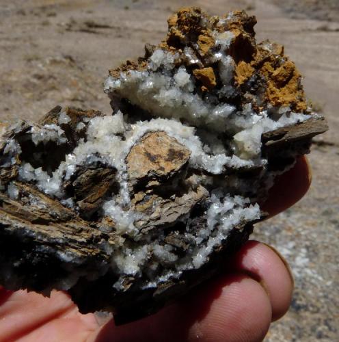 Calcite
Western Cape, South Africa
fingers for scale (Author: Pierre Joubert)