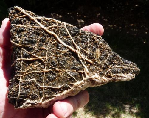 Basalt? with veins of quartz
Western Cape, South Africa
180 x 150 mm (Author: Pierre Joubert)