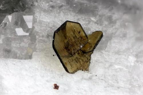 Brookite
Hopffeldboden, Sbg, Austria
0.52 m
Photo Matteo Chinellato
Collection Domenico Preite (Author: domenico)