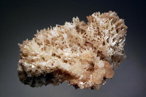 Cerussite
Nakhlak Mine, Anarak District, Eshfahan Province, Iran
5.3 x 8.4 cm. (Author: crosstimber)