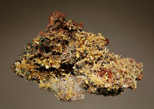 Mimetite
Tsumeb Mine, Tsumeb, Namibia
5.5 x 8.7 cm.
Spiky yellow mimetite crystals averaging 4-6 mm in length with bubbly white calcite, minor malachite and reddish iron oxide included calcite. (Author: crosstimber)