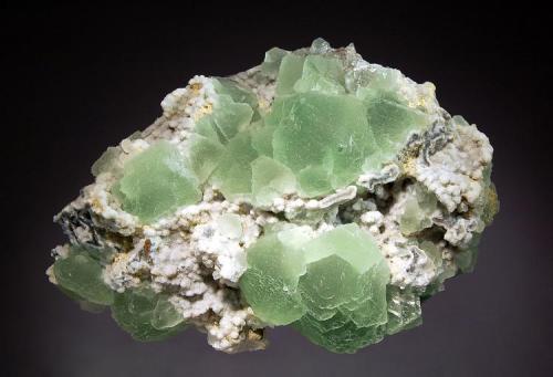 Fluorite
1st Sovietskiy Mine, Dal’negorsk, Primorskiy Kray, Russia
8.8 x 12.4 cm.
Frosted green octahedral fluorite crystals to 1.8 cm on edge covering a layer of drusy white quartz with colorless calcite. (Author: crosstimber)