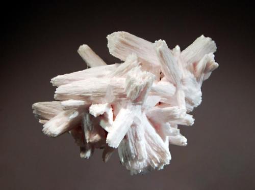 Calcite
Nikolaevskiy Mine, Da’negorsk, Primorskiy Kray, Russia
5.2 x 7.0 cm.
Bundles of tightly-packed scalenohedral manganoan calcite to 3.5 cm. that remind me of the calcites from Pachapaqui.  Collected in August 2011. (Author: crosstimber)