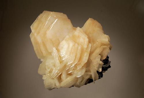 Calcite
Nikolaevskiy Mine, Dal’negorsk, Primorskiy Kray, Russia
9.6 x 11.1 cm.
This calcite is the newest addition to my Dal’negorsk suite - obtained at the 2013 Tucson Show. (Author: crosstimber)