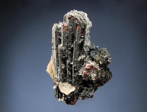 Hematite ps. ilvaite
Nikolaevskiy Mine, Dal’negorsk, Primorskiy Kray, Russia
3.5 x 6.5 cm
Elongated prismatic crystals of ilvaite have been partially replaced by hematite and dusted with a sparkly druse of micro quartz. Collected in 2005. (Author: crosstimber)