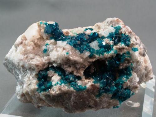 Dioptase
Tsumeb Mine, Namibia
7 x 4.5 x 4 cm (Author: Joseph D'Oliveira)