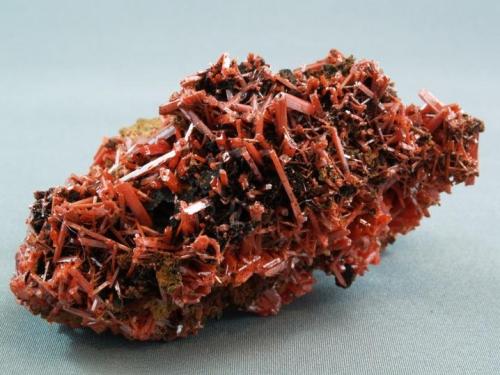 Crocoite
Adelaide Mine, Dundas, Tasmania, Australia
8 x 5.5 x 4 cm (Author: Joseph D'Oliveira)