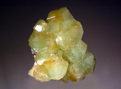 Datolite
Bor Pit, Dal’negorsk, Primorskiy Kray, Russia
6.8 x 7.0 cm
A group of lustrous blocky green and yellow datolite crystals partially coated with sugary-textured fluorapophyllite.  Small axinite crystals are also present on a  small piece of matrix on the back side of the specimen. (Author: crosstimber)
