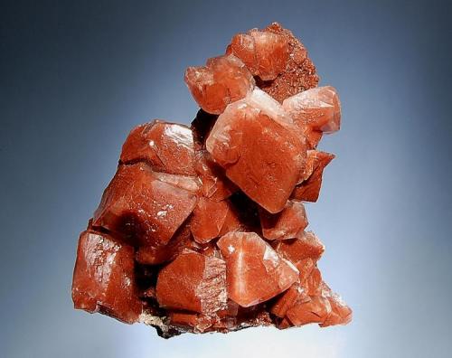 Calcite
Buena Tiera Mine, Francisco Portillo, Santa Eulalia, Chihuahua, Mexico
7.5 x 8.4 cm.
Lustrous calcite rhombs to 2.5 cm on edge colored reddish brown by iron oxides. (Author: crosstimber)