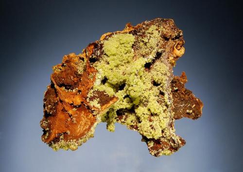 Mimetite
Ojuela Mine, Mapimi, Durango, Mexico
8.5 x 10.5 cm.
Groups of yellow-green crystals to 3.0 mm coating a gossan matrix with minor calcite and wulfenite. (Author: crosstimber)