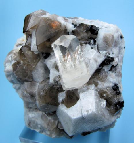 Fenaquita, cuarzo, microclina, chorlo(?)
Paleini Mine, Khetchel village, Molo quarter, Momeik township, Mogok area, Mandalay division, Birmania (Myanmar)
67 mm x 62 mm x 52 mm (Autor: Carles Millan)