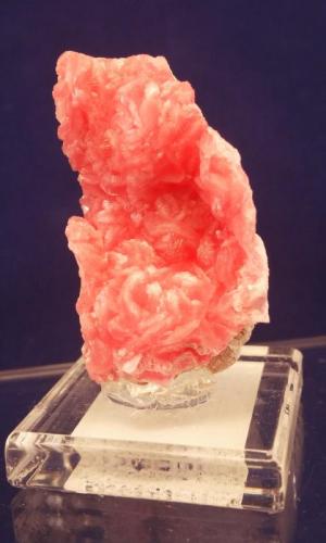 Rhodochrosite
N’Chwaning Mine near Kurman, North Cape Province, South Africa
5.4 x 3.0 x 2.4 cm (Author: Don Lum)