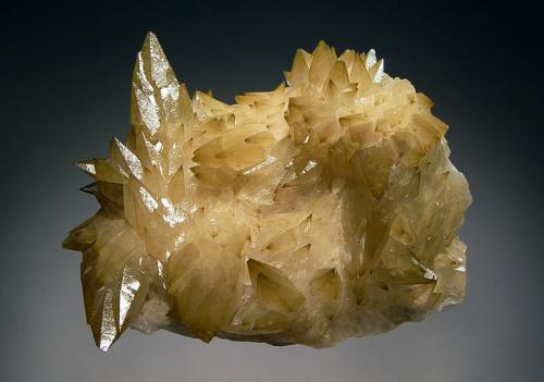 Calcite
San Antonio Mine, Santa Eulalia, Mun. de Aquiles Serdán, Chihuahua, Mexico
6.3 x 7.5 cm.
Sharp brown scalenohedral calcite crystals to 4 cm. on a colorless massive calcite matrix. (Author: crosstimber)