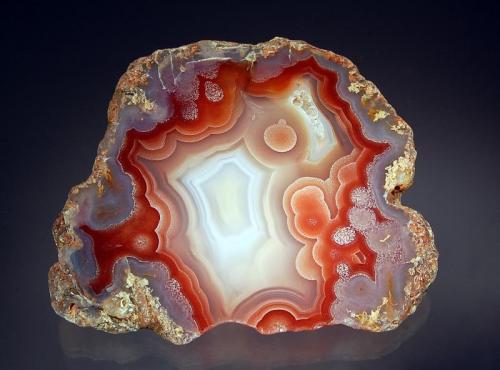 Chalcedony var. Laguna agate
Estacion Ojo Laguna, Chihuahua, Mexico
8.1 x 9.3 cm. (Author: crosstimber)