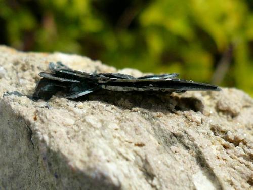 Hematites con Rutilo epitaxial.
Cavradi gorge, Curnera Valley, Grischun,Suiza.
2x1cm (Autor: nerofis2)