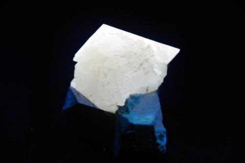 Powellita - Fluorescente
Nasik, India
53 x 49 x 43 mm (el cristal tiene 31 mm de arista)
Bajo luz ultravioleta de onda corta (256 nm aprox.). La Powellita es de color blanco amarillento intenso. (Autor: Juan María Pérez)