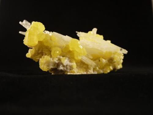 Sulfur, gypsum, aragonite
Sicily, Italy
14.6 x 6.9 x 7.1 cm (Author: Don Lum)